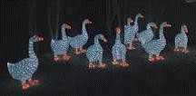 TQ-SC-065-24V  LED 3D ANIMATION MOTIF LIGHTS