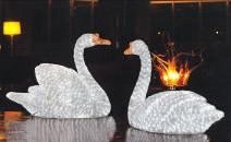 TQ-SC-080-24V  LED 3D ANIMATION MOTIF LIGHTS