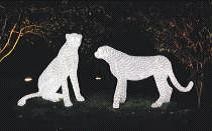 TQ-SC-084-24V  LED 3D ANIMATION MOTIF LIGHTS
