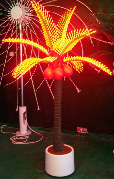 Coconut shop tree lighting