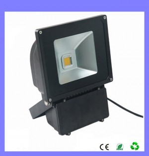 TQ-FL80x1W-I  LED High Power Flood Lights 80W