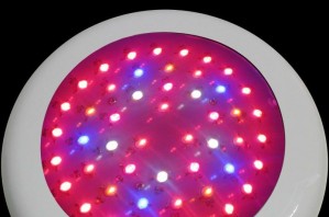 TQ-HY150W LED Plant Grow Lights 150W
