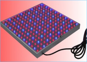 TQ-NL15W LED Plant Grow Lights 15W Panel Design