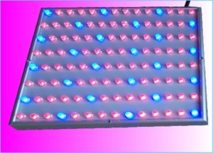 TQ-NL55W LED Plant Grow Lights 55W Panel Design