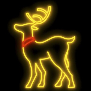 TQ-C056  LED Christmas Decorative Rope Light