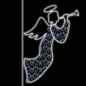 TQ-C078  LED Christmas Decorative Rope Light