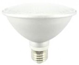 TQ-FPAR30-7W  LED High Power PAR 30 IP65 Waterproof Dimmable Spotlight 7W 