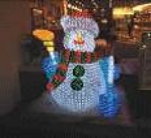 TQ-SC-073-24V  LED 3D ANIMATION MOTIF LIGHTS